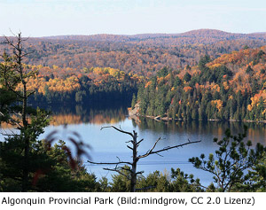 Algonquin Provincial Park Ontario