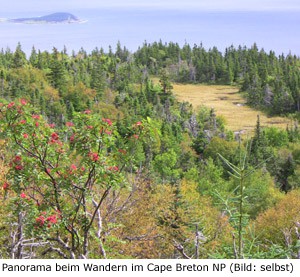 Cape Breton Highland National Park