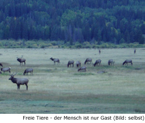 Tiere | Pflanzen | Natur